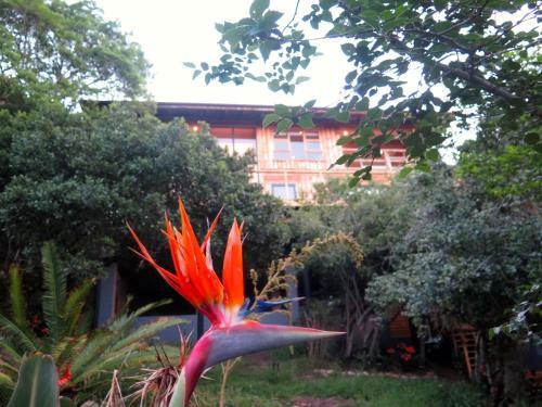 Knysna Log Home - Brenton On Lake