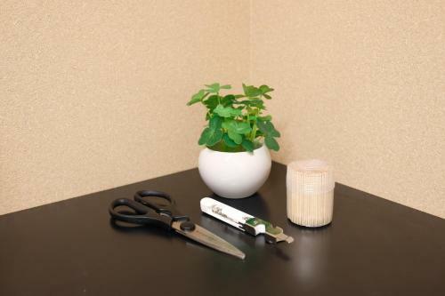 Hananoko Ryokan - Vacation Stay 30141v