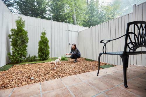 Hotel Le Chien Kyukaruizawa