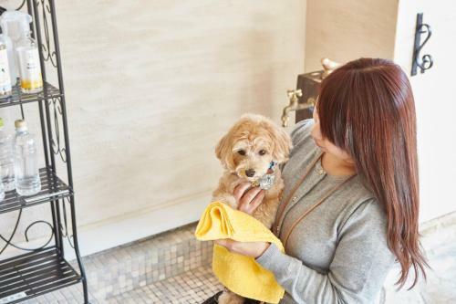 Hotel Le Chien Kyukaruizawa