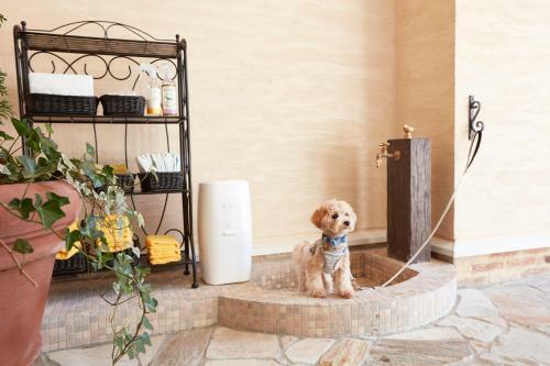 Hotel Le Chien Kyukaruizawa