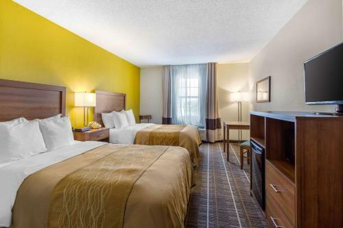 Hotel Comfort Inn Stephens City