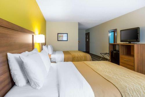 Hotel Comfort Inn Stephens City