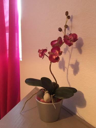 Hotel H�tel A L'ancre