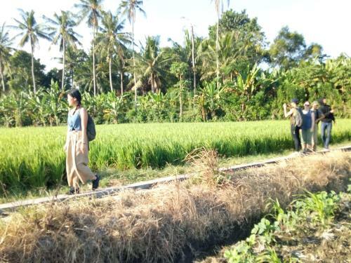 Lodge Jasri Dalem Surf Retreat