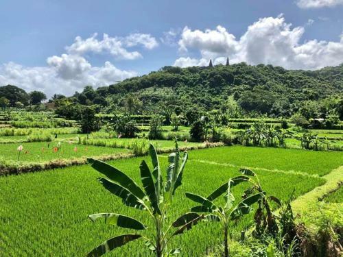 Lodge Jasri Dalem Surf Retreat