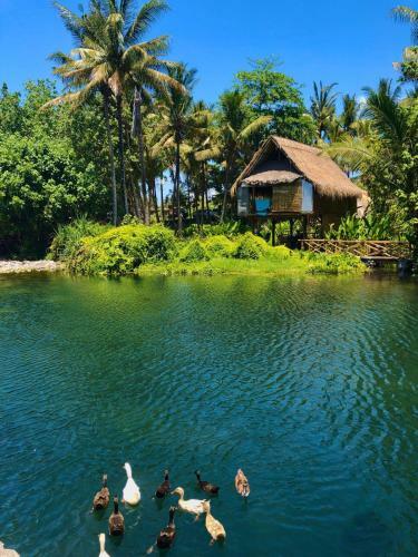 Lodge Jasri Dalem Surf Retreat