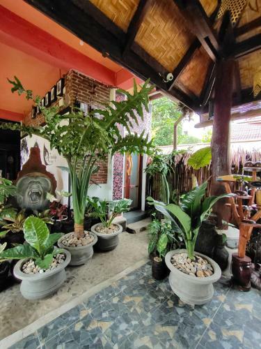 Green Travelodge Bukit Lawang