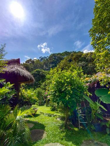 Green Travelodge Bukit Lawang