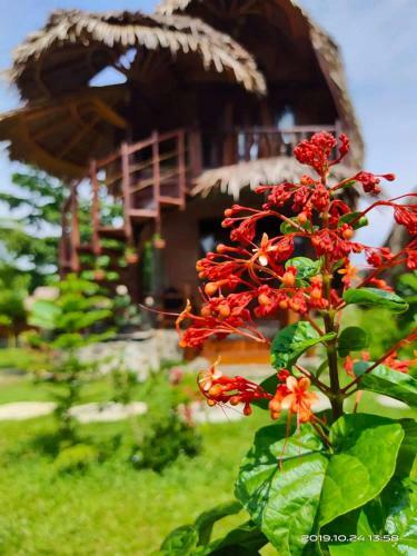 Green Travelodge Bukit Lawang