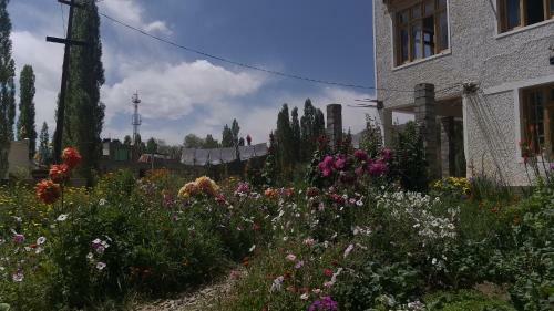 Hostal The New View Guest House