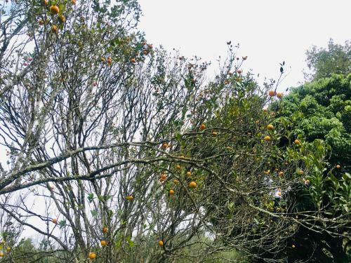 Agroturismo Quo Vadis Farm