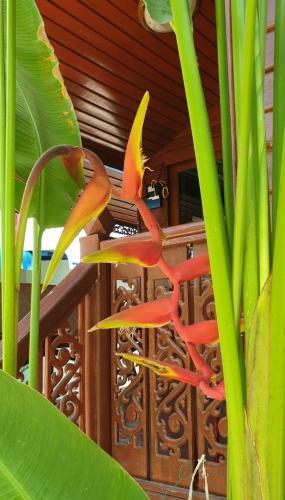 Thai Wooden House At Kata