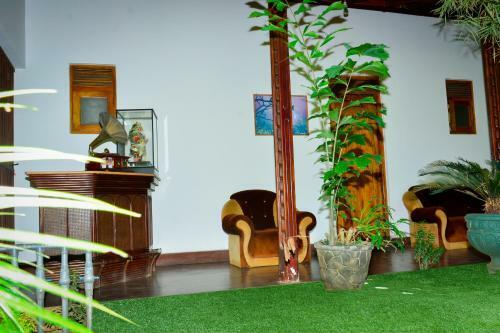 Hostal The Senaro Holiday Inn
