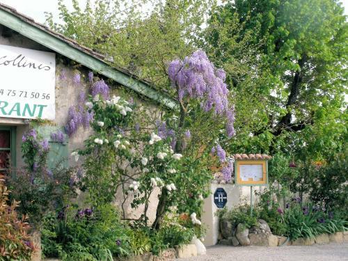 Hotel L'auberge Des Collines