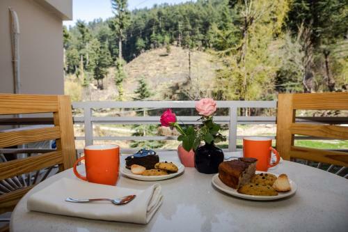 Hotel Anand Vardhan Resorts