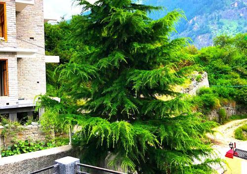 Shashwat Homestay With Garden View
