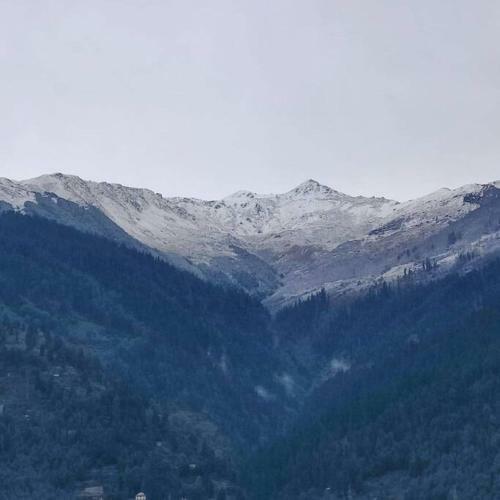 Aroma Taru Villa / Cottage ,manali