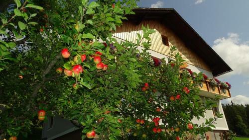 Apartamento Ferienwohnung Greim