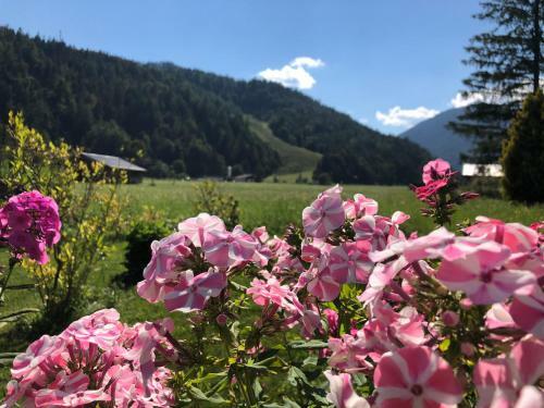 Apartamento Landhaus Mair
