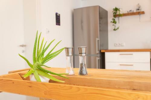 Apartamento Panorama-juwel Alpbachtal