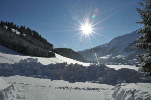 Apartamento Landhaus Alpensonne