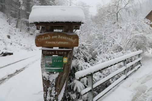Apartamento Urlaub Mitten Im Wald - Lueg
