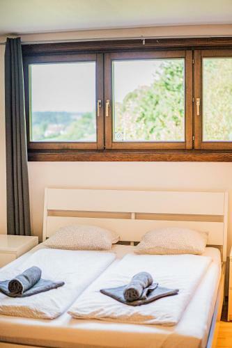 Apartamento Panorama-apartments In Unmittelbarer See-n�he