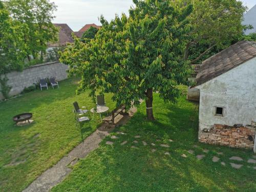 Apartamento Ferienwohnung Morgensonne