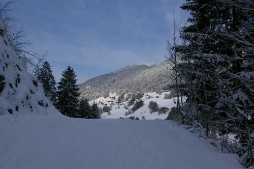 Apartamento Alpenliebe Montafon