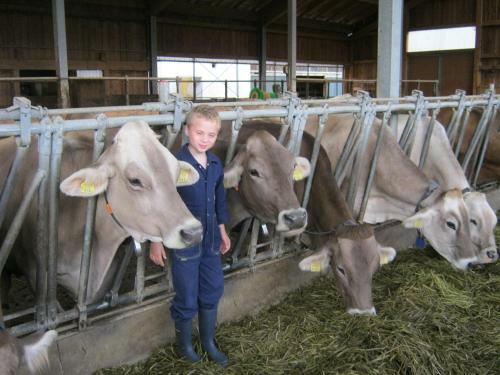 Agroturismo Bio-urlaubshof Dansbach