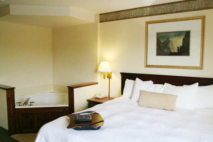 Hotel Hampton Inn Marietta