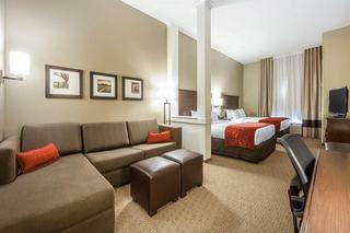 Hotel Comfort Suites Marietta
