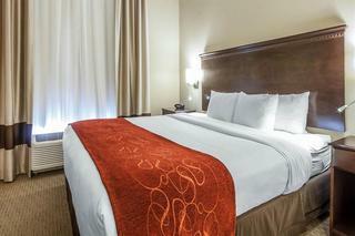 Hotel Comfort Suites Marietta