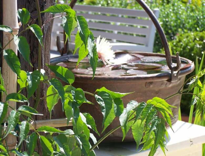 Hostal La Roulotte De La Vall�e Du Lot
