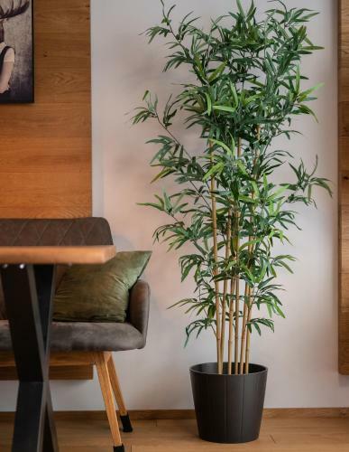 Apartamento Kleiner Alpiner Boudoir