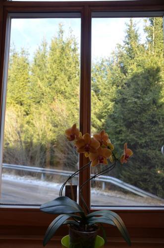 Apartamento Haus Elena Am Semmering