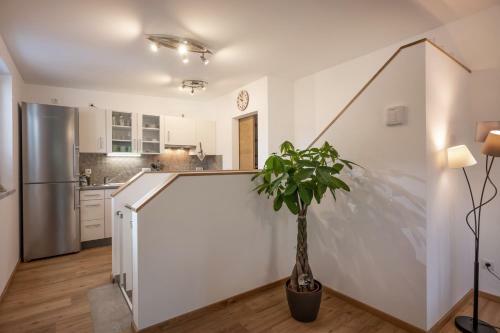 Apartamento Appartement Sophie