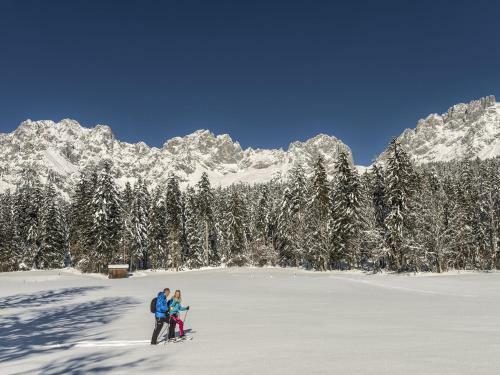 Chalet Au Hochalm In S�ll