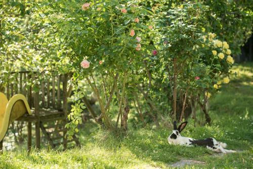 Agroturismo Bio-hof Windhaber