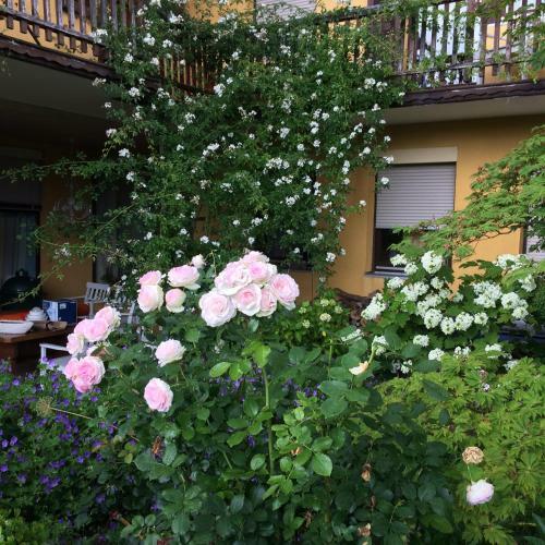 Hostal Landhaus Grete