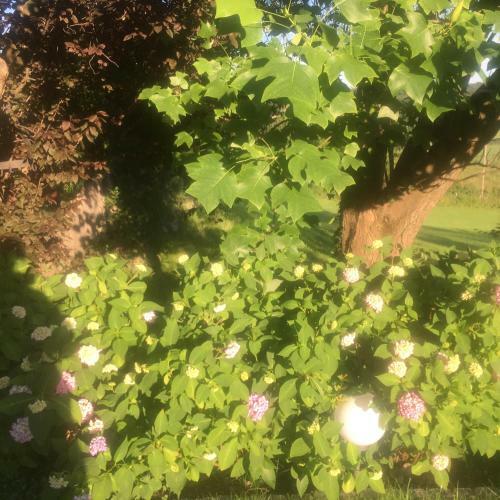 Hostal Landhaus Grete