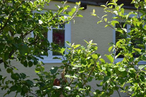 Apartamento Coralie