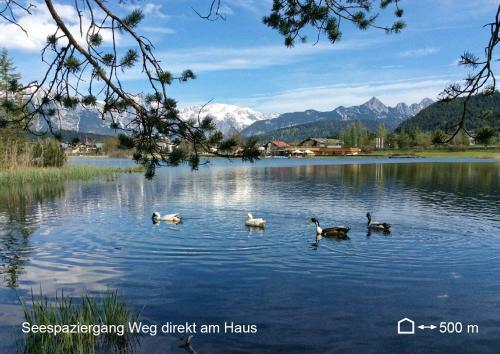 Apartamento Bio Ferienwohnung Am Wildsee In Seefeld