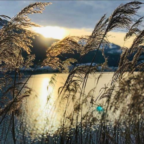 Apartamento Seeblickplatzl 220 - Mit Seeblick Zum Wolfgangsee