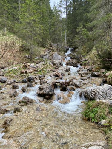 Apartamento Living Mountain Tannheim