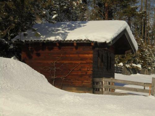 Stubai Apartment Telfes