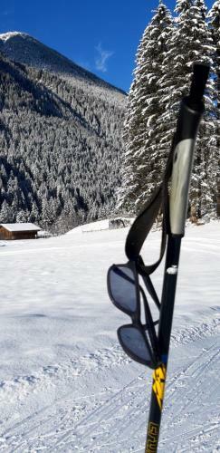 Stubai Apartment Telfes