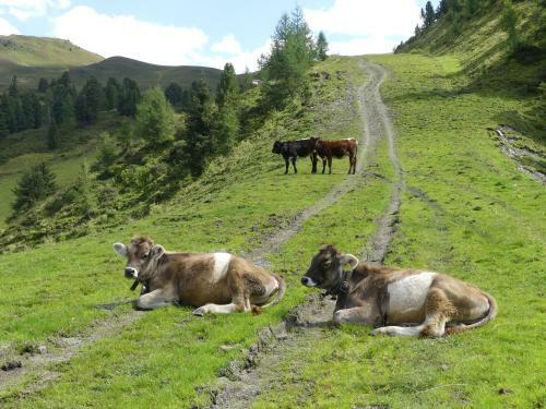Hostal Bauernhof Im Zillertal, Der Badererhof