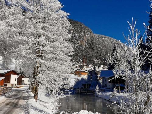 Apartamento Haus Alpenrose